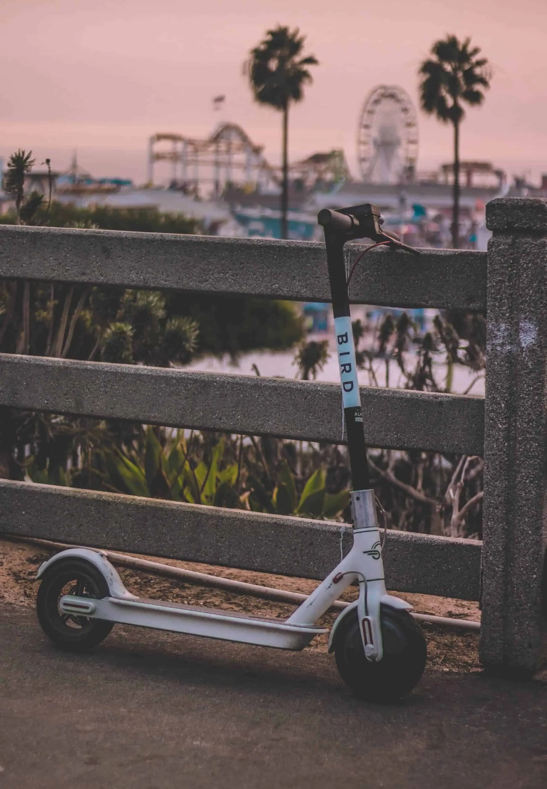 kick scooters for heavy adults